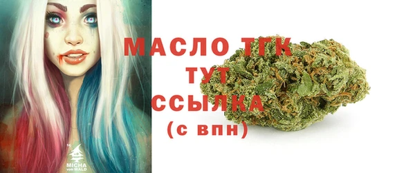 сатива Алзамай