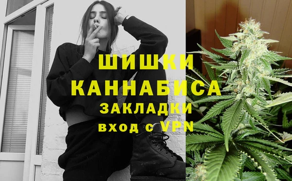 сатива Алзамай