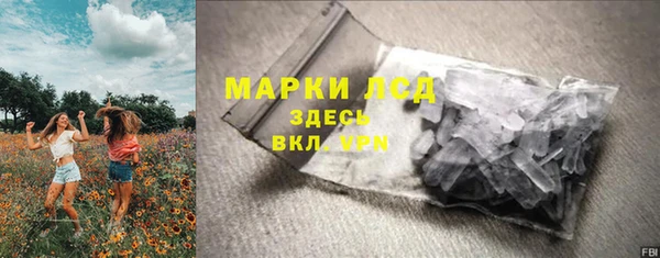 сатива Алзамай