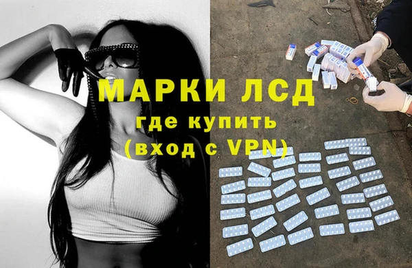 сатива Алзамай