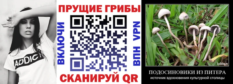 Псилоцибиновые грибы Magic Shrooms  Приморск 